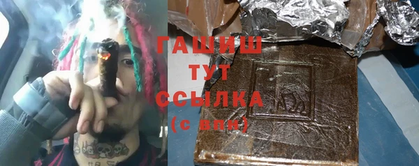 прущий лед Бикин