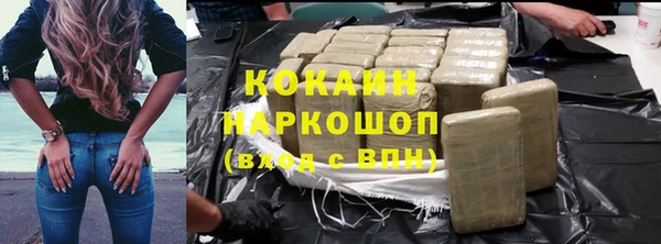 гашик Билибино