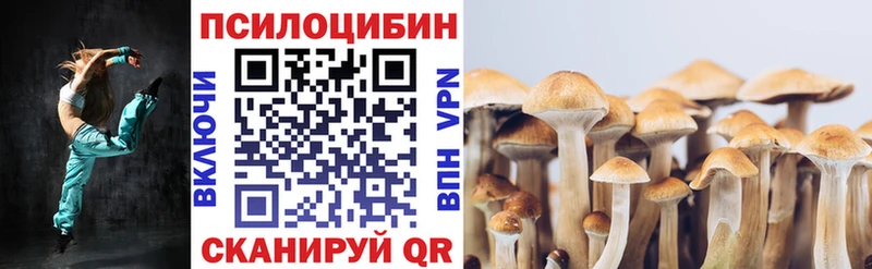 Псилоцибиновые грибы Cubensis  мега зеркало  Белая Калитва  купить наркотики цена 