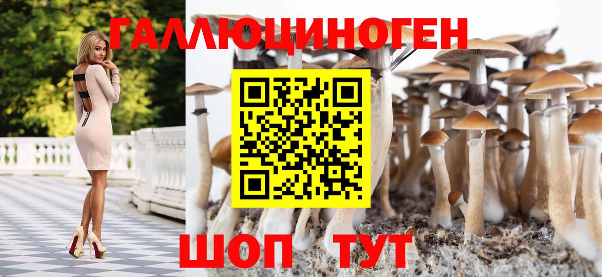 Галлюциногенные грибы Psilocybine cubensis  Вход с VPN  Белая Калитва 